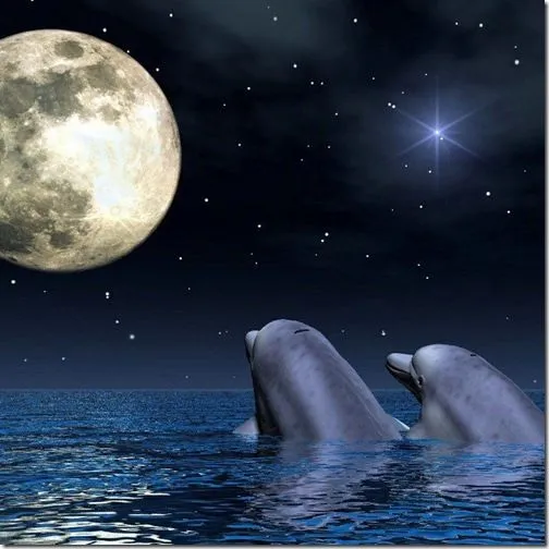 Delfines Mirando La Luna