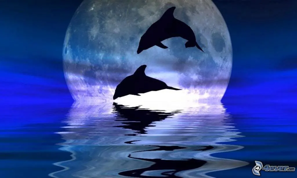 Delfines saltando