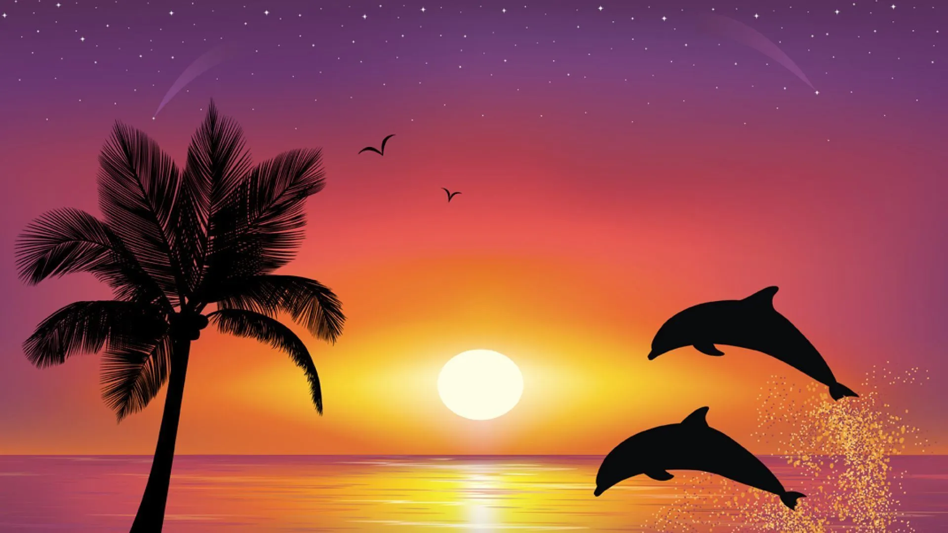 Delfines saltando al atardecer - 1920x1080 :: Fondos de pantalla y ...