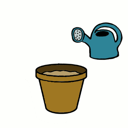 EL DELUBLOG: LAS PLANTAS