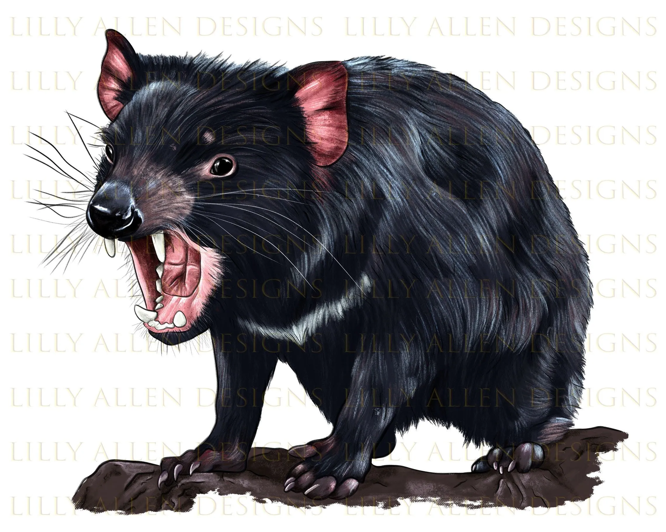 Demonio de Tasmania Ilustraciones Png Descarga digital Marten - Etsy México