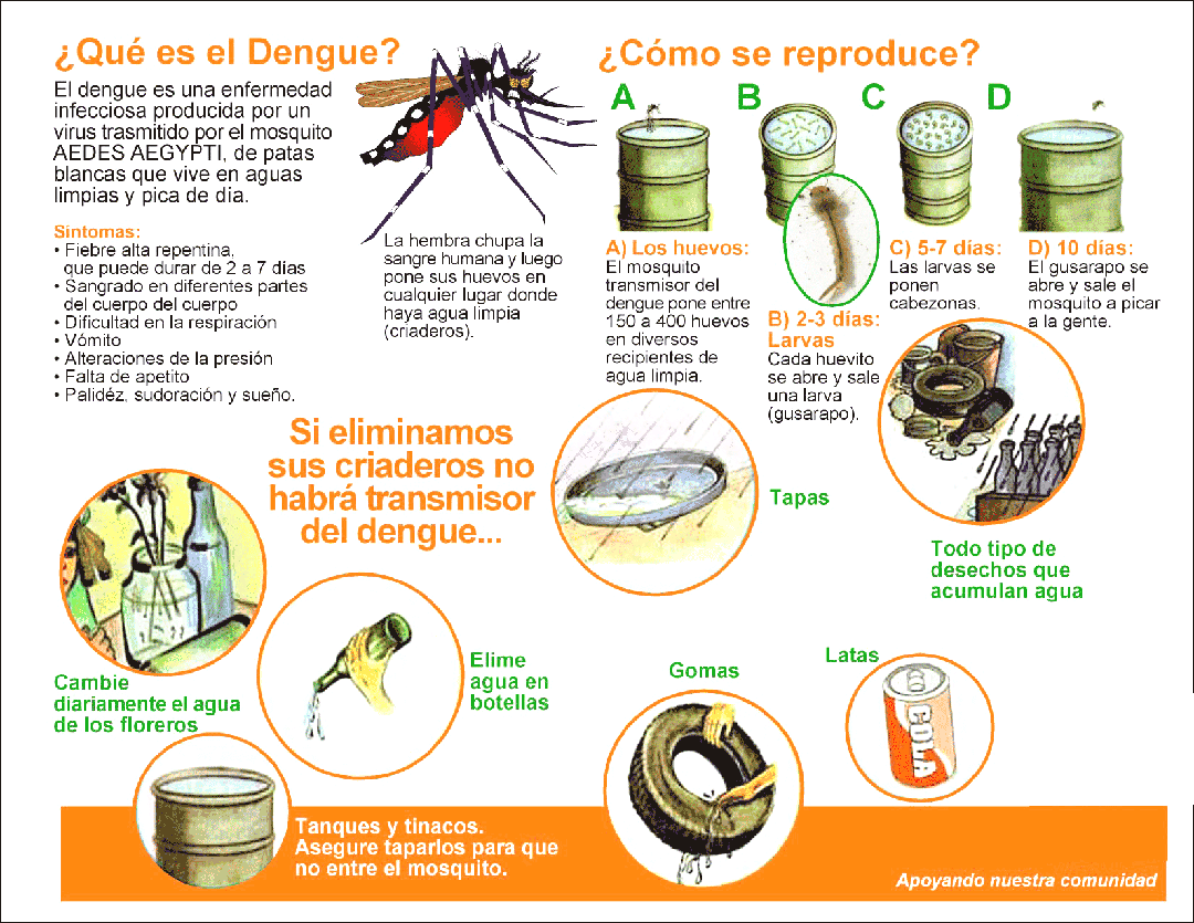 El Dengue