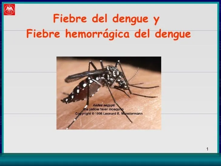 Dengue Hemorragico Junio 2005