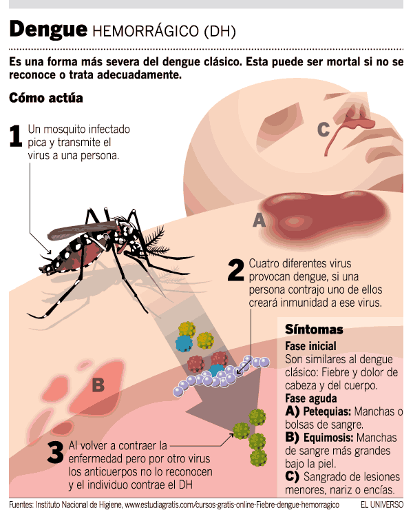 Dengue Hemorragico | Qx DarkJoha Blog