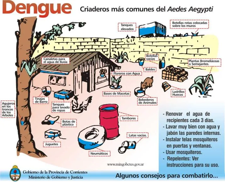 El dengue Prevencion y Sintomas del Dengue Los Mosquitos Cuidados