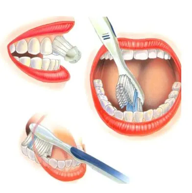 Dentista Legal: Como fazer uma correta higiene bucal.