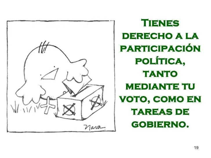 Los Derechos Humanos: "Cada Pollo con su rollo".