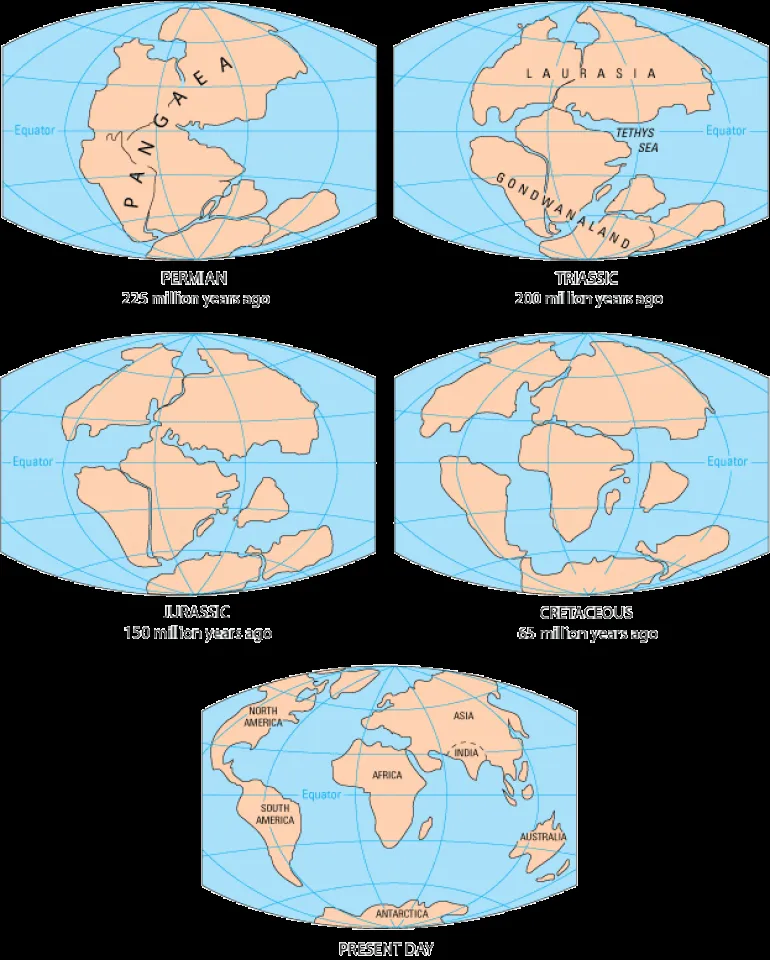 LA DERIVA CONTINENTAL – BIOLOGÍA y GEOLOGÍA