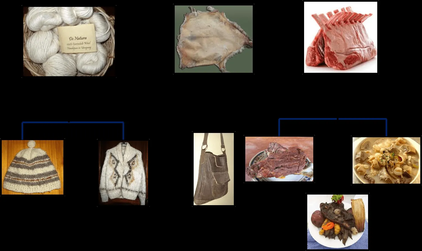 DERIVADOS DE LOS ANIMALES: DERIVADOS DE LA OVEJA