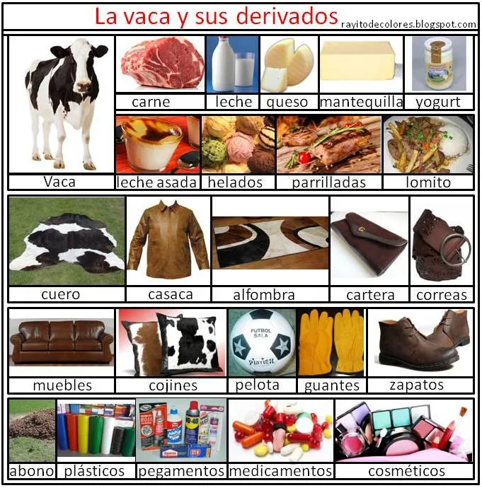 Derivados de los animales | Rayito de Colores