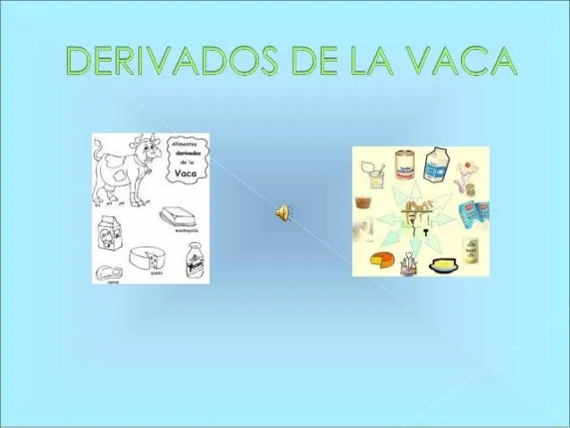 Derivados de la Vaca