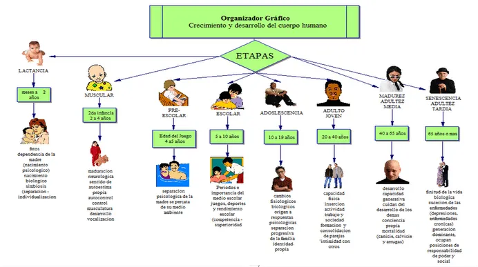 DESARROLLO HUMANO