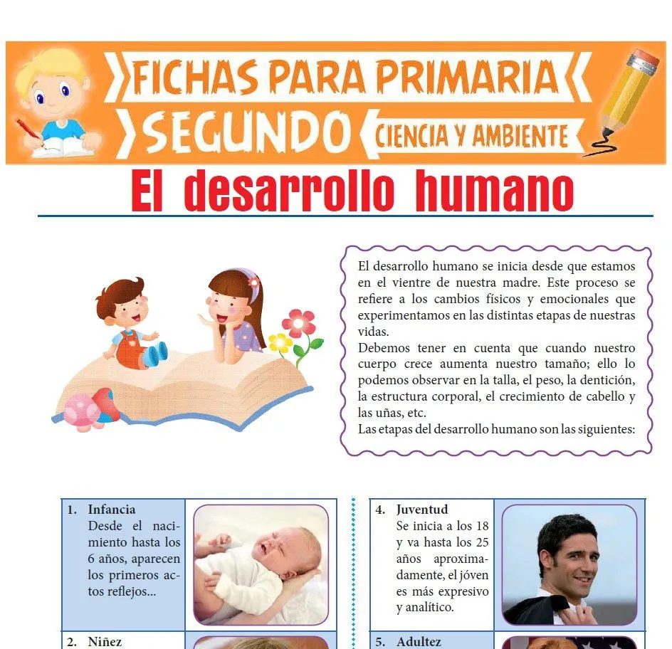 El Desarrollo Humano para Segundo de Primaria | Actividades Educativas