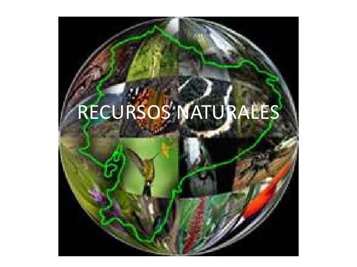 Desarrollo Sustentable: 2.5 Recursos Naturales.