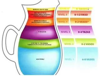 DESARROLLO SUSTENTABLE: ALIMENTACION