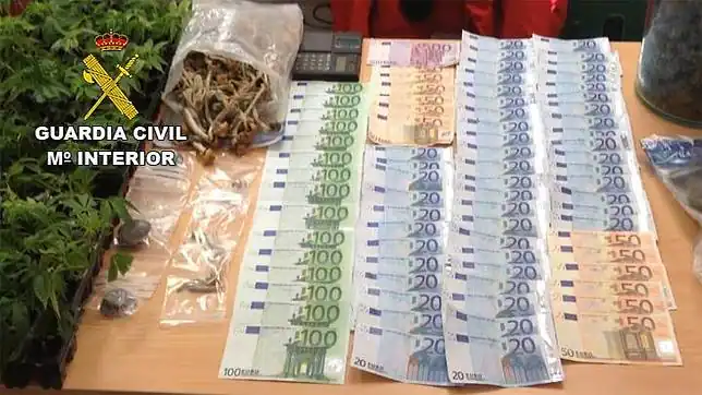 Desarticulan un negocio de pasteles de chocolate hechos con setas ...