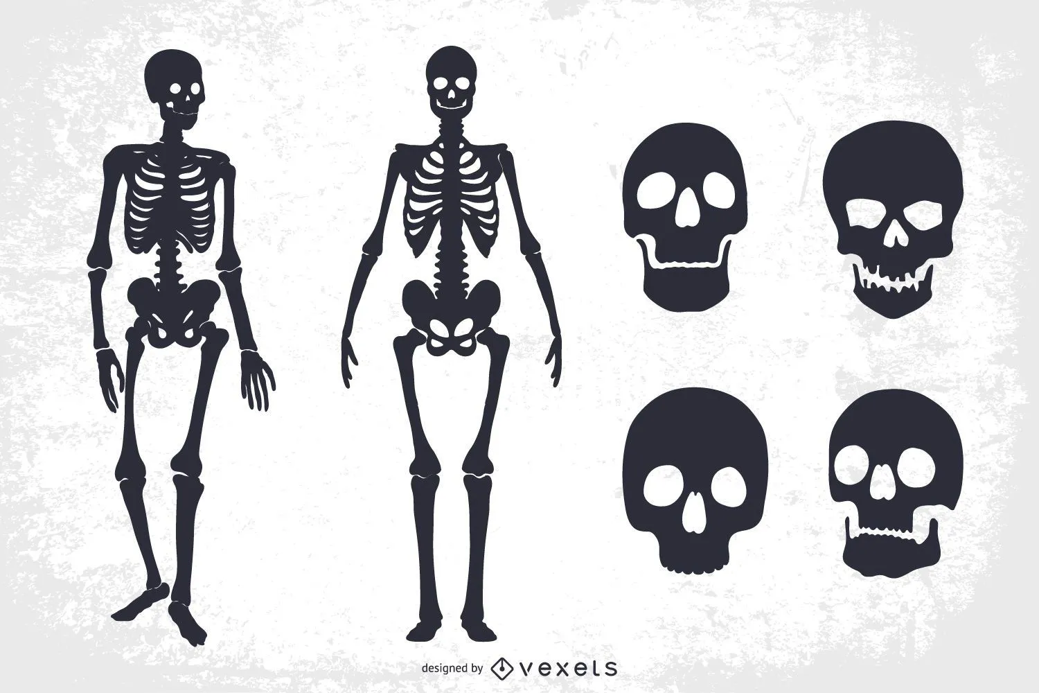 Descarga Vector De Conjunto De Calaveras Y Esqueletos