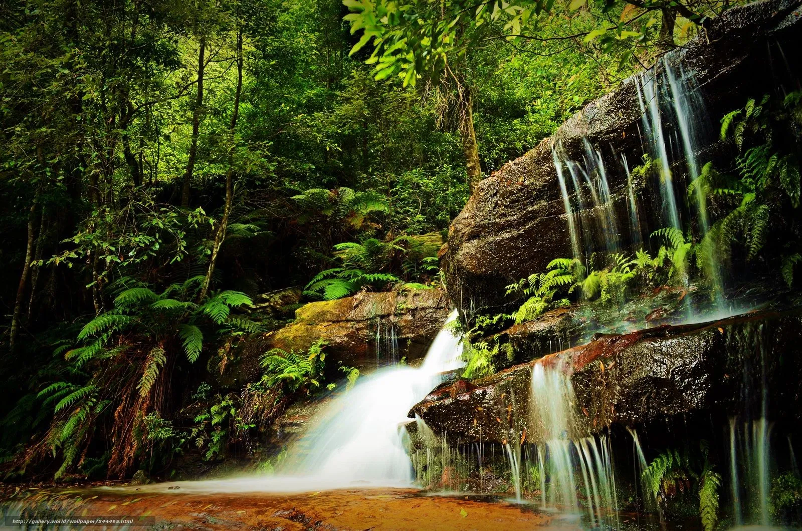 Descargar gratis bosque, árboles, cascada, Rocas Fondos de ...