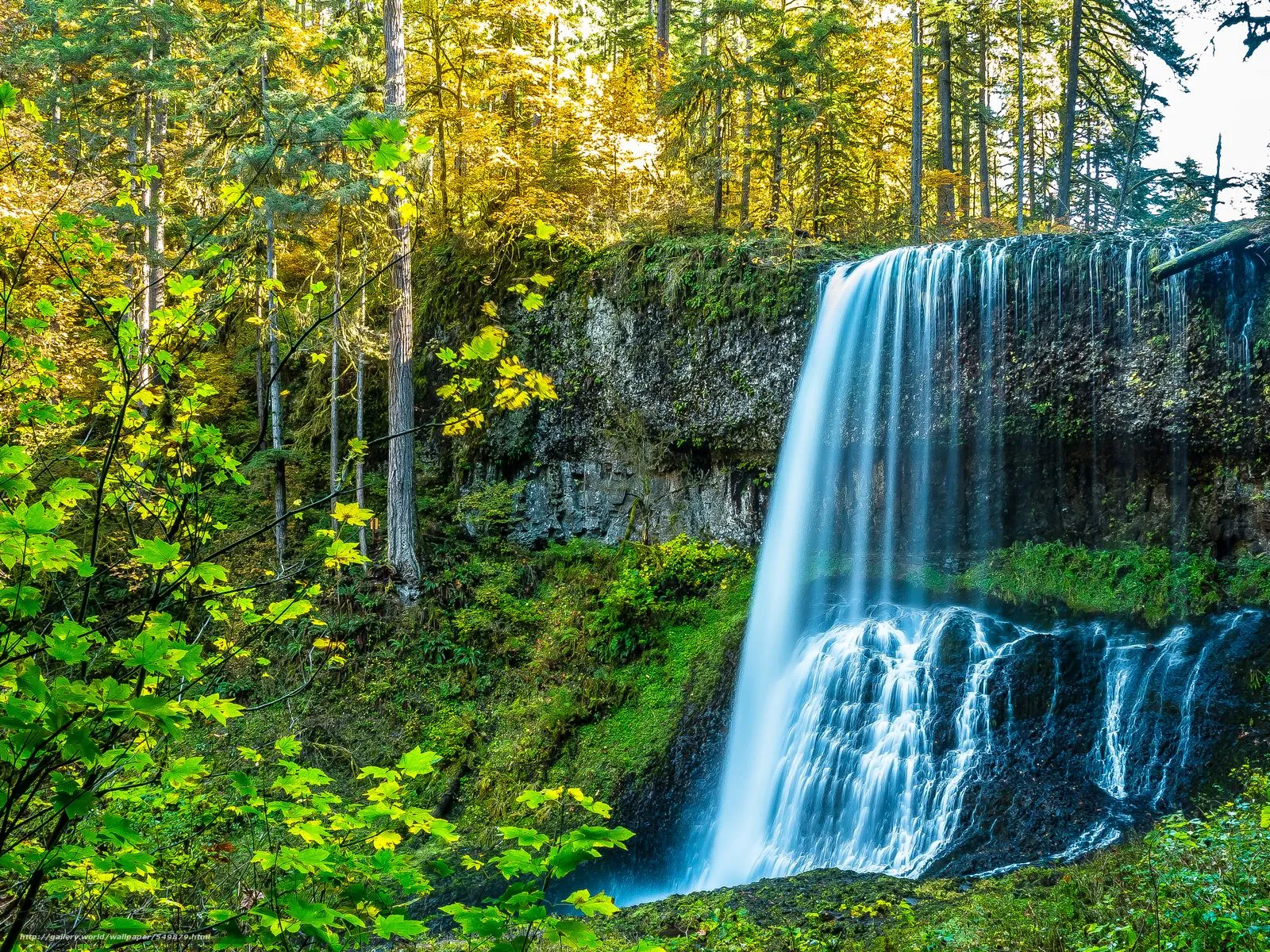 Descargar gratis otoño, bosque, árboles, cascada Fondos de ...