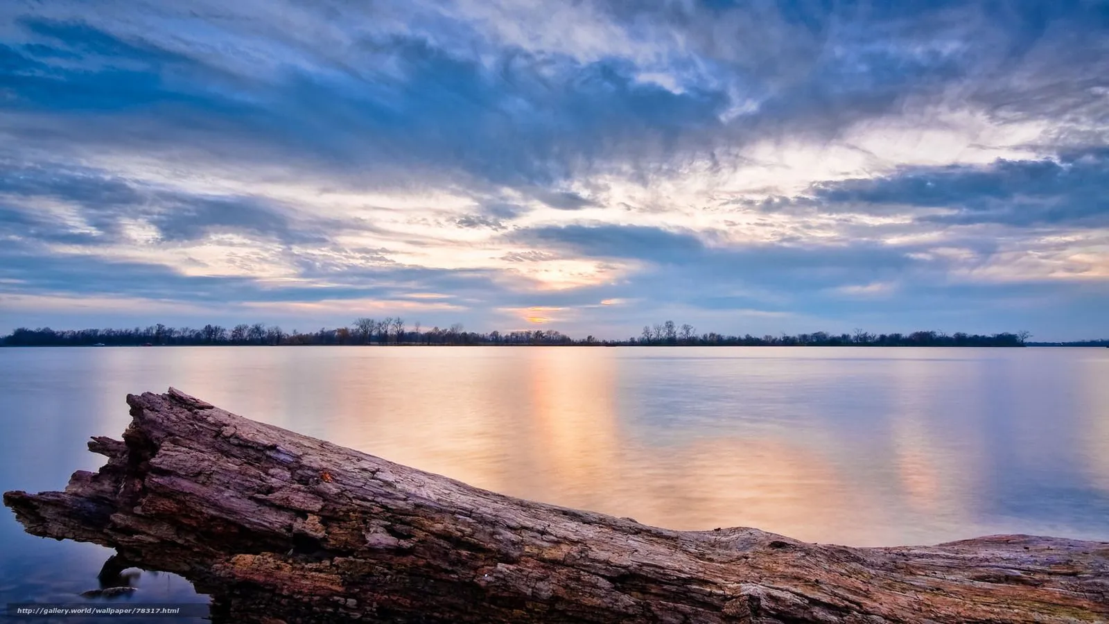 Descargar gratis Paisajes, log, agua, lago Fondos de escritorio en ...