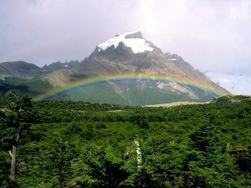  ... os voy a describir un paisaje natural y biológicamente perfecto