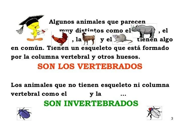 Descripcion de animales vertebrados e invertebrados imagenes - Imagui