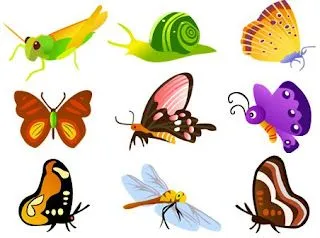 descripcion pack de vectores de mariposas grillo libelula y caracol ...