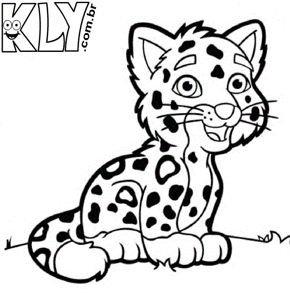 Desenho de Filhote de Onça para Colorir - Desenhos Para Colorir