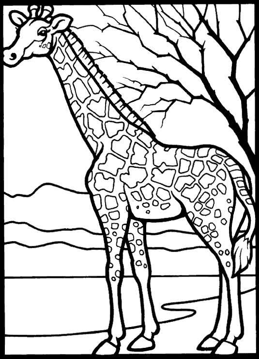 Desenho - Girafa na Selva - Colorir e Pintar - Desenhos Para Colorir