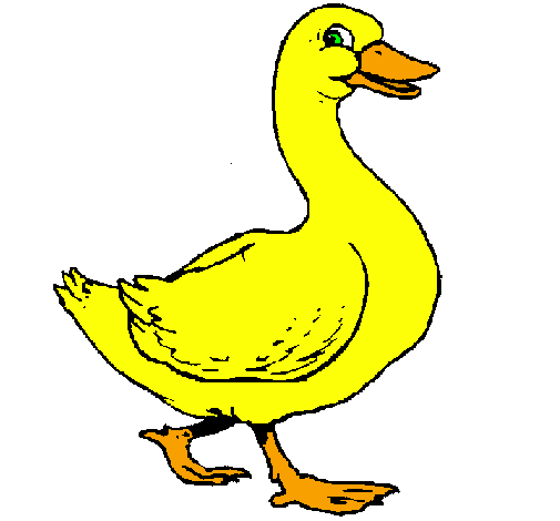 Desenho de Pato pintado e colorido por Usuário não registrado o ...