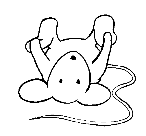 Desenho de Rata caída para Colorir - Colorir.com