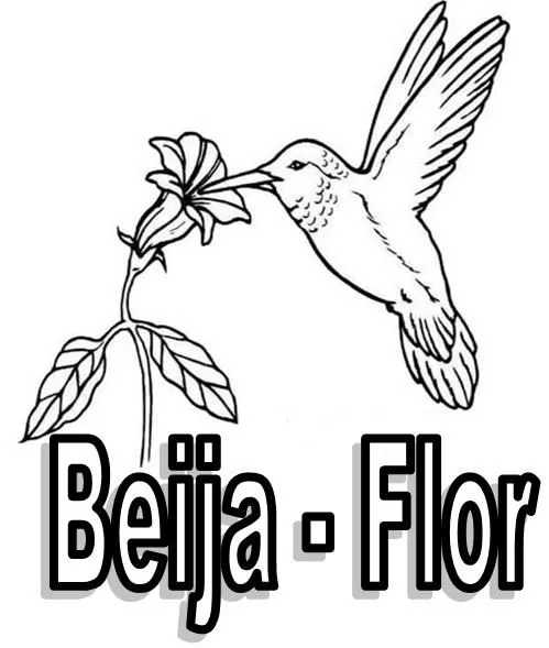 Desenhos de Beija flor para colorir - Desenhos Para Colorir