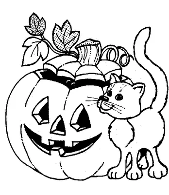 Desenhos para Colorir sobre Halloween - Mundinho da Criança ...