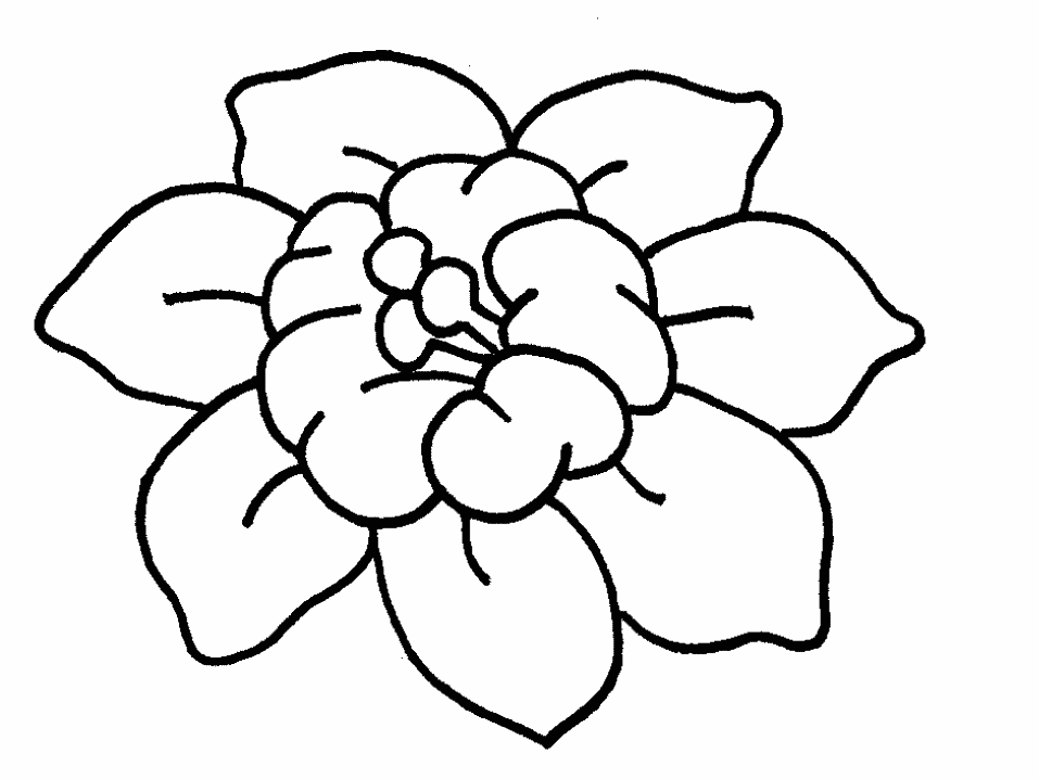 DESENHOS DE FLORES PARA IMPRIMIR E COLORIR | coisas pra ver