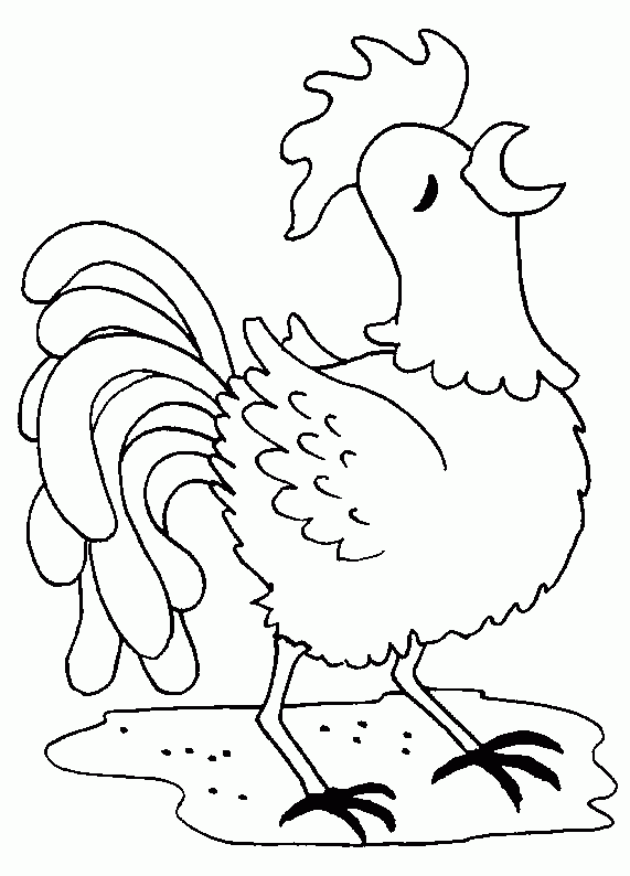 Desenhos de galos para colorir | desenhos para pintar e imprimir