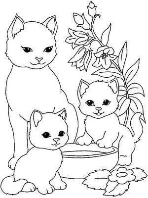 DESENHOS DE GATOS PARA IMPRIMIR E COLORIR | coisas pra ver