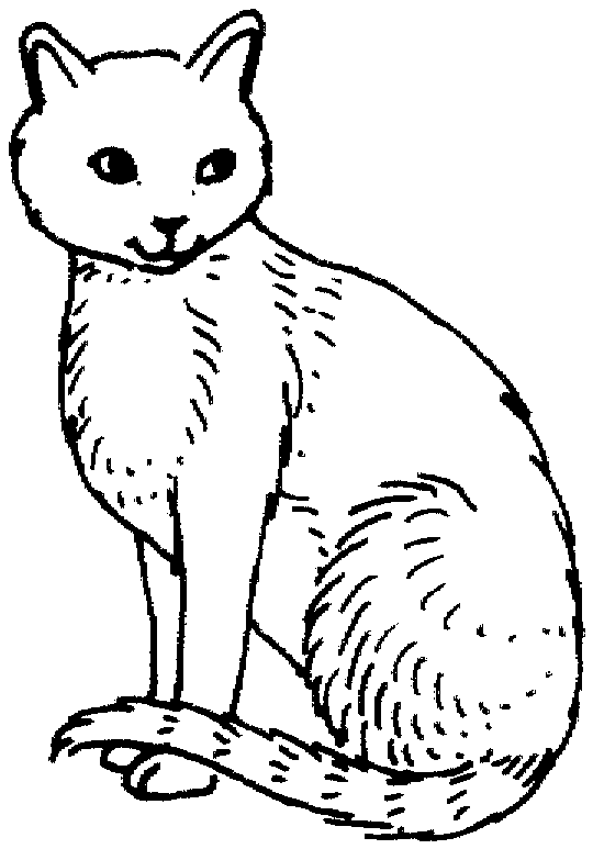 Desenhos de Gatos para imprimir e colorir | Desenhos para Colorir