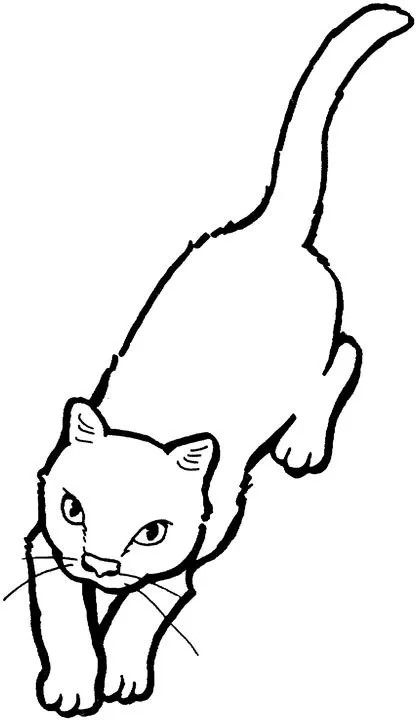 Desenhos de Gatos para imprimir e colorir | Desenhos para Colorir