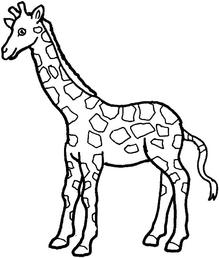 desenhos de girafa Colouring Pages