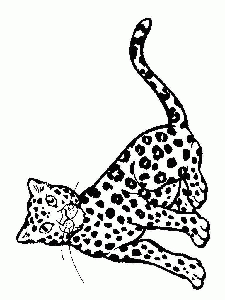 Desenhos de Leopardos para Colorir