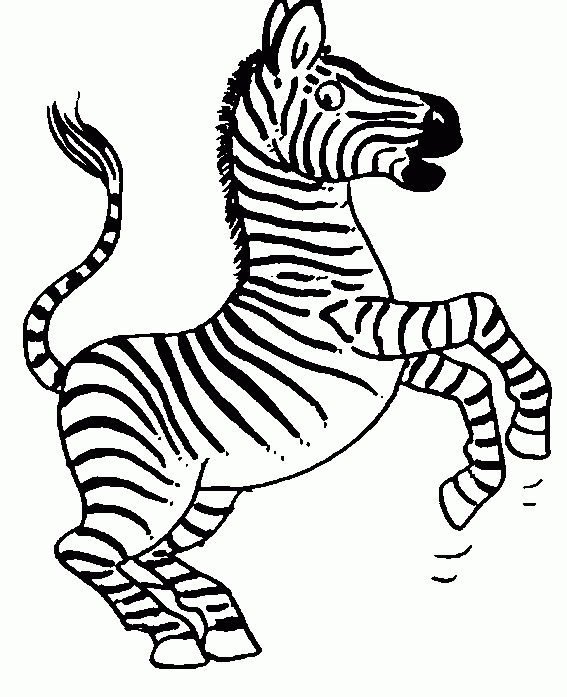 Desenhos para Pintar: Desenhos de Zebras para Colorir