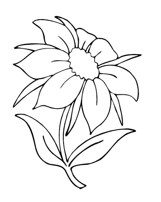 DESENHOS PARA PINTAR: Flor.