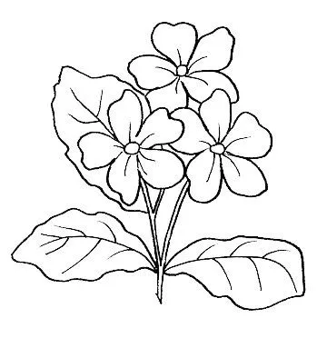 DESENHOS PARA PINTAR: FLORES.