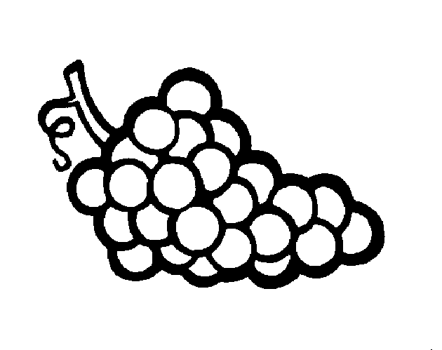 Desenhos de Uvas para Colorir