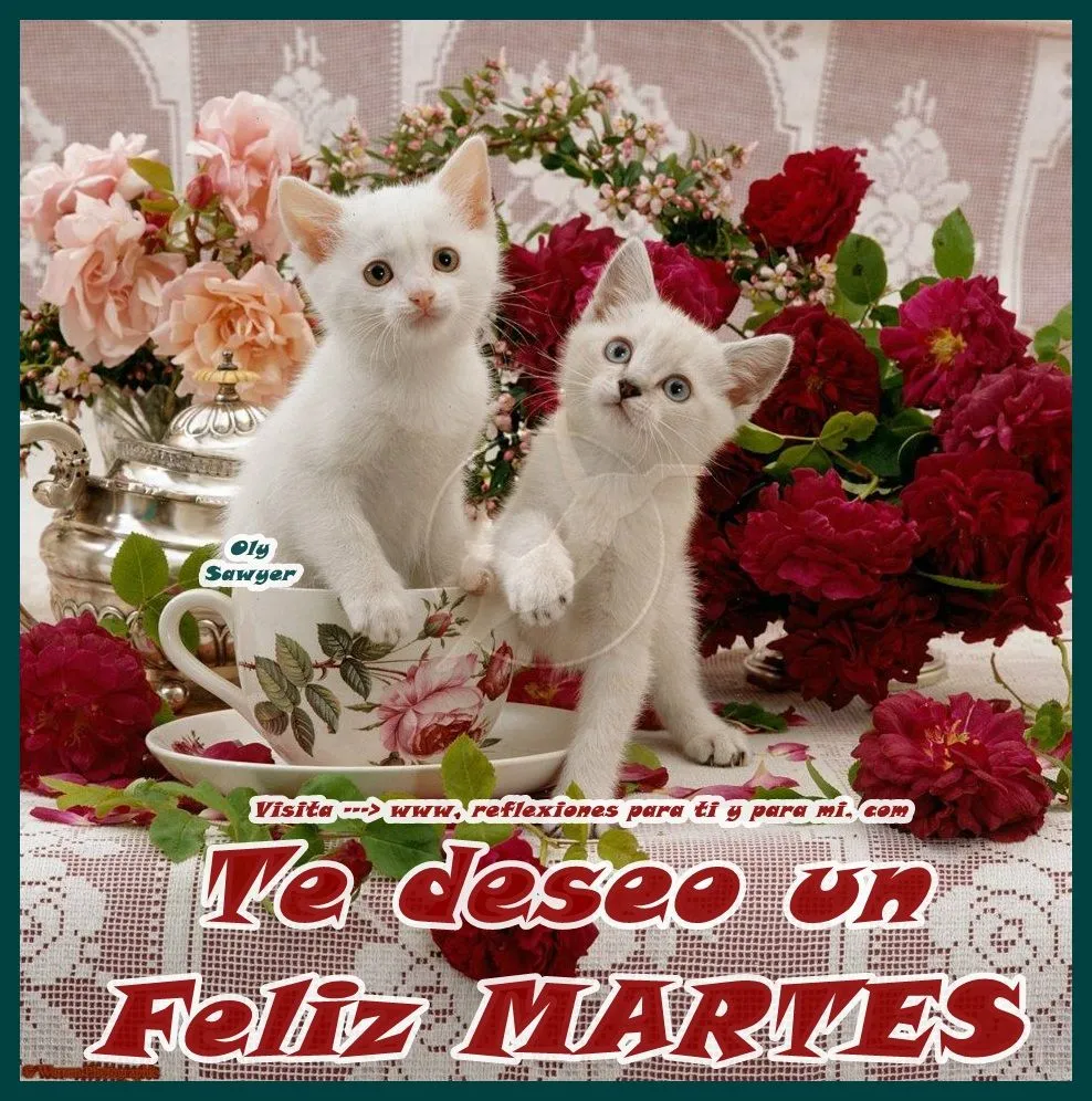 Buenos Deseos para TI y para MÍ: * Te deseo un Feliz MARTES !