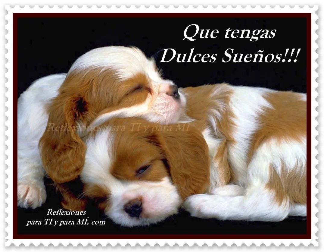 Buenos Deseos para TI y para MÍ: * Que tengas Dulces Sueños !!!