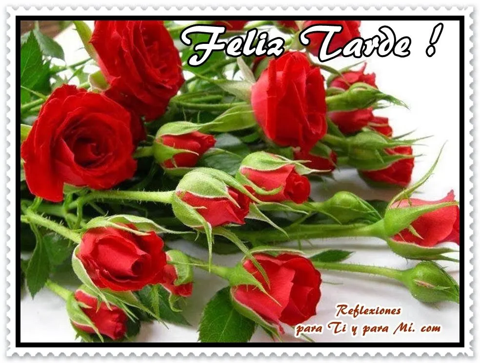 Buenos Deseos para TI y para MÍ: * Feliz Tarde! (Rosas Rojas)