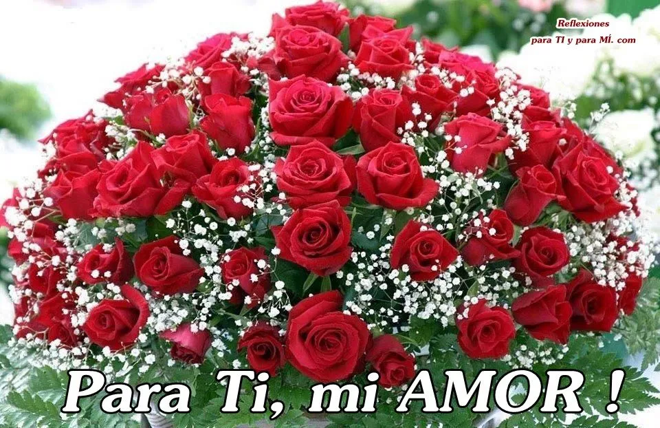 Buenos Deseos para TI y para MÍ: * Para TI, mi AMOR ... ROSAS ROJAS