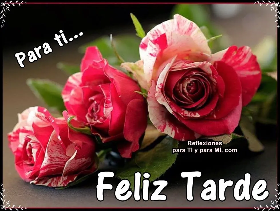 Buenos Deseos para TI y para MÍ: * Para ti... Feliz Tarde (3 rosas)