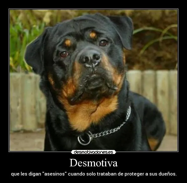 Desmotiva | Desmotivaciones